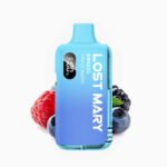 Elfworld 12000 Puffs Mint Menthol Disposable | Vape Store ahmedabad